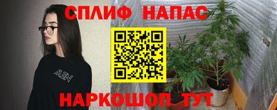 стаф Малоярославец