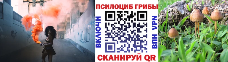купить   Пыть-Ях  Галлюциногенные грибы мухоморы 