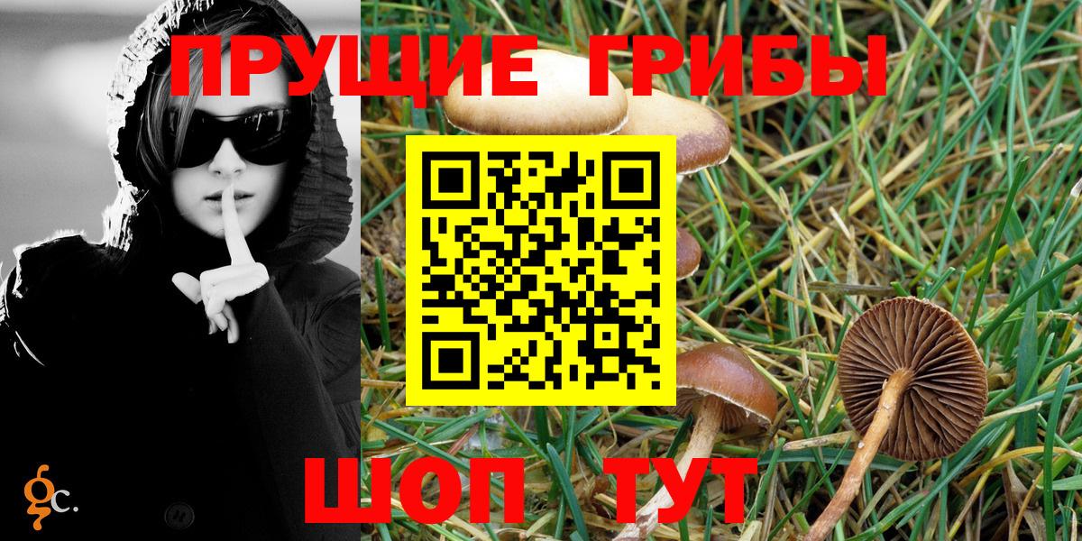 Псилоцибиновые грибы Psilocybe  Вход с VPN  Пыть-Ях 