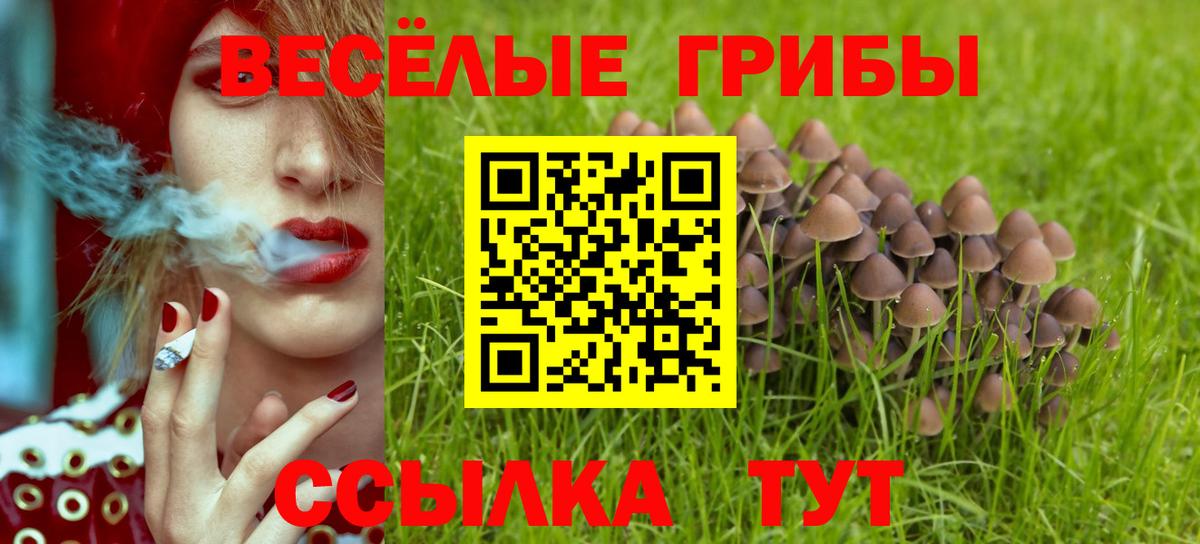 Псилоцибиновые грибы мицелий Пыть-Ях